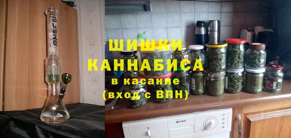 шишки Верхний Тагил